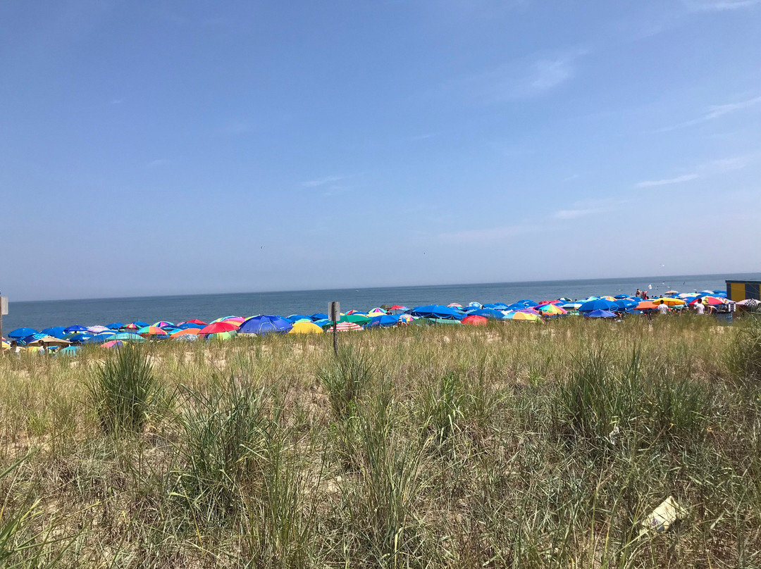 City of Rehoboth Beach Convention Center-里霍博斯比奇必去景点