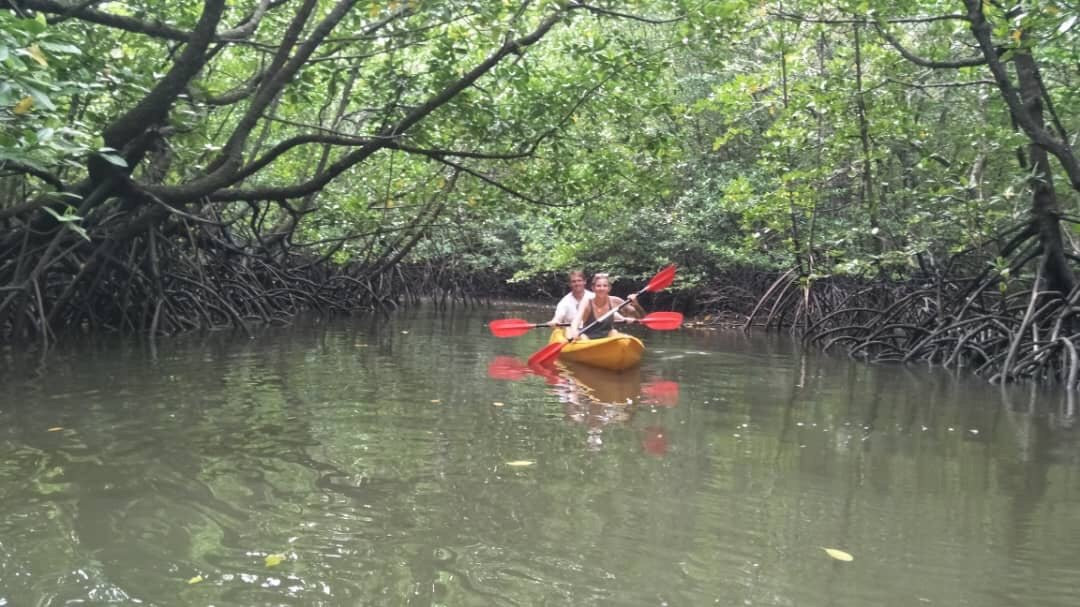 Langkawi Mangrove Tour by Hasfary Travel & Tours景点图片