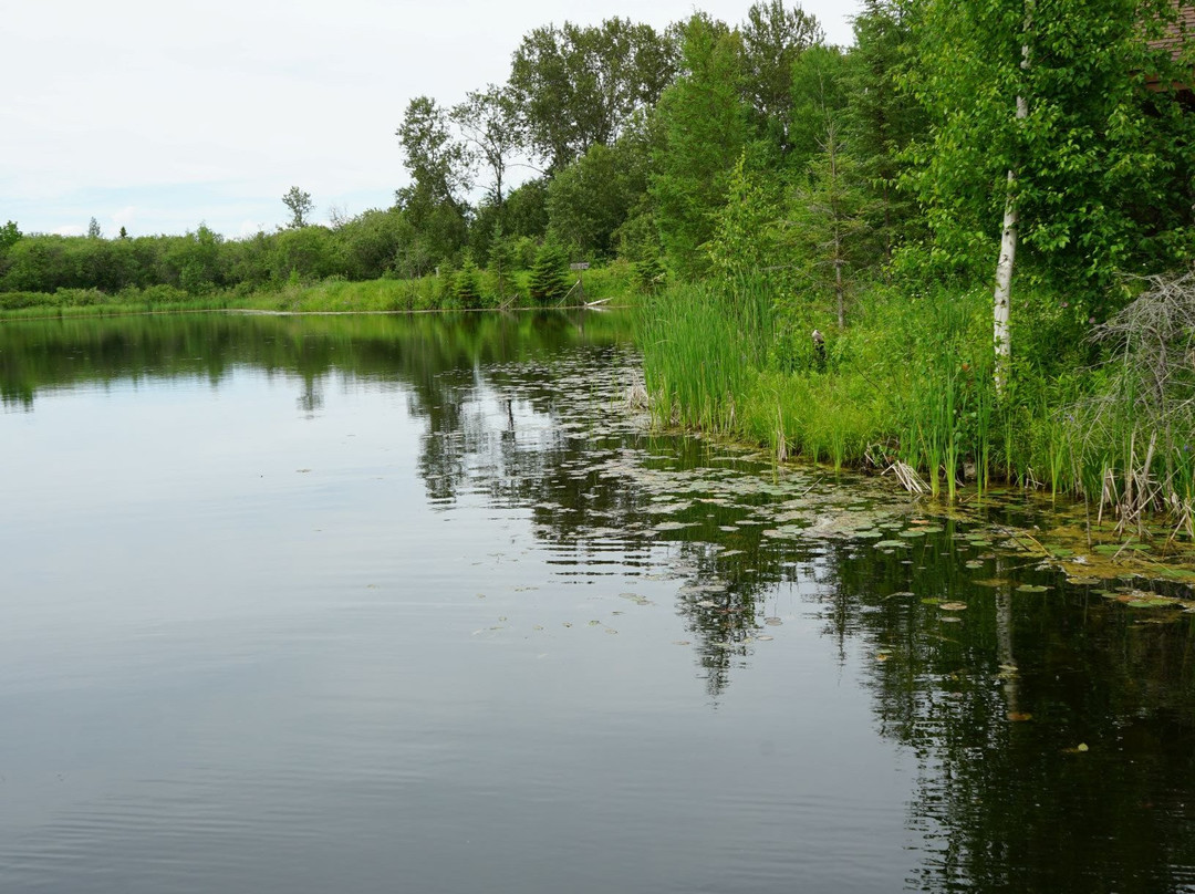 Big Bog State Recreation Area-Waskish必去景点