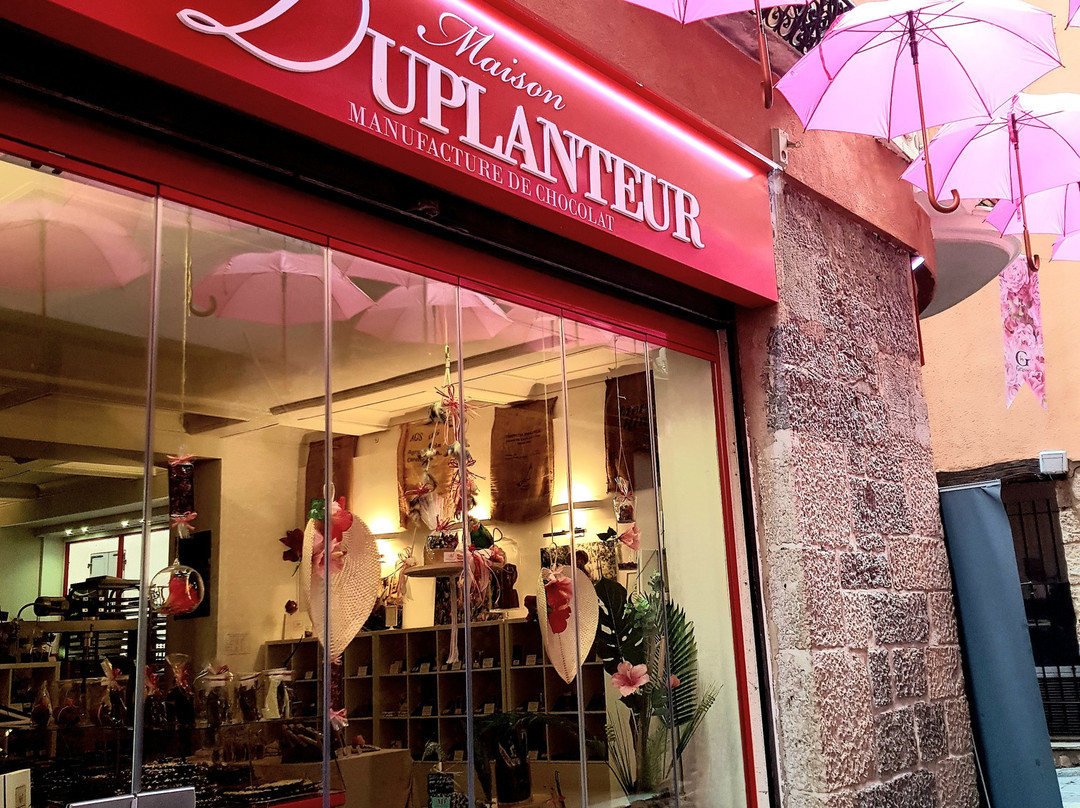Maison Duplanteur景点图片