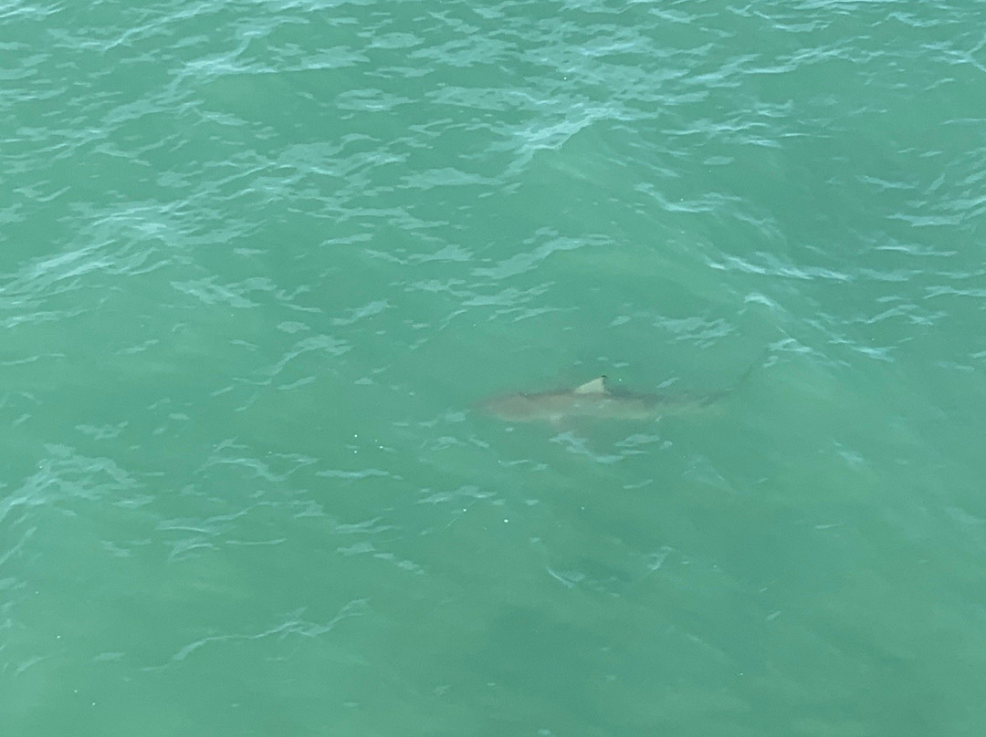 Second Avenue Pier-美特尔海滩必去景点