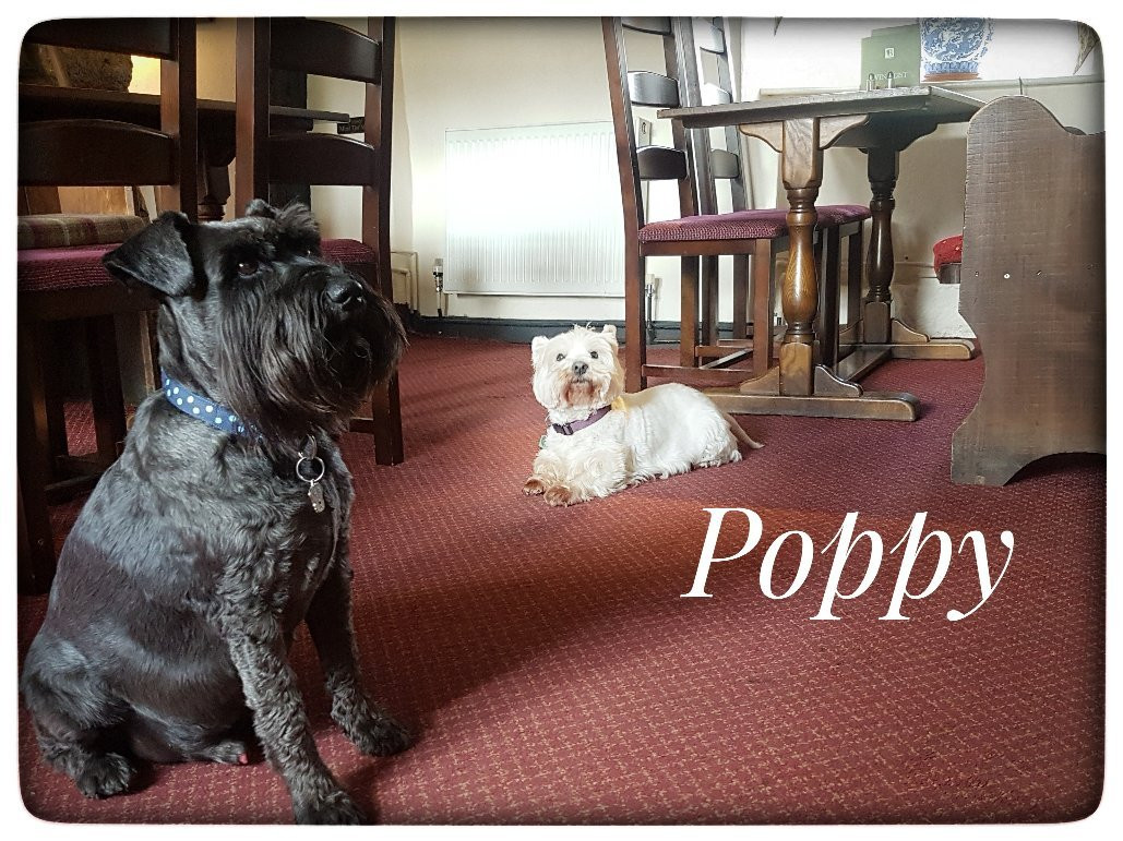 Bearslake Inn-Okehampton必去景点