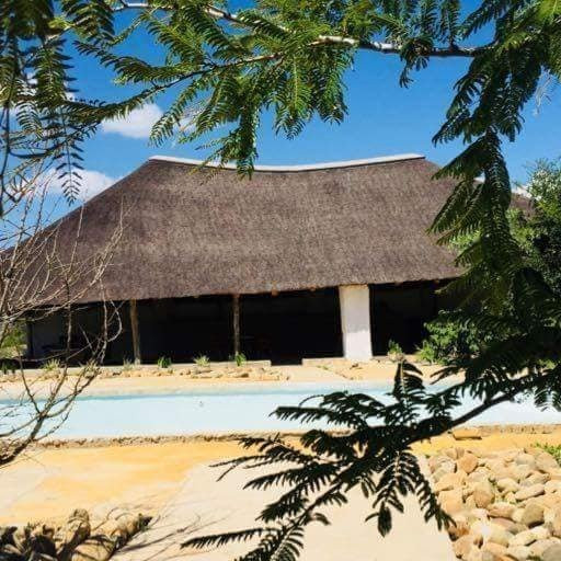 Moholoholo Lodge主图