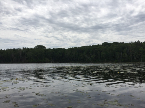 Pillsbury State Forest-Pillager必去景点