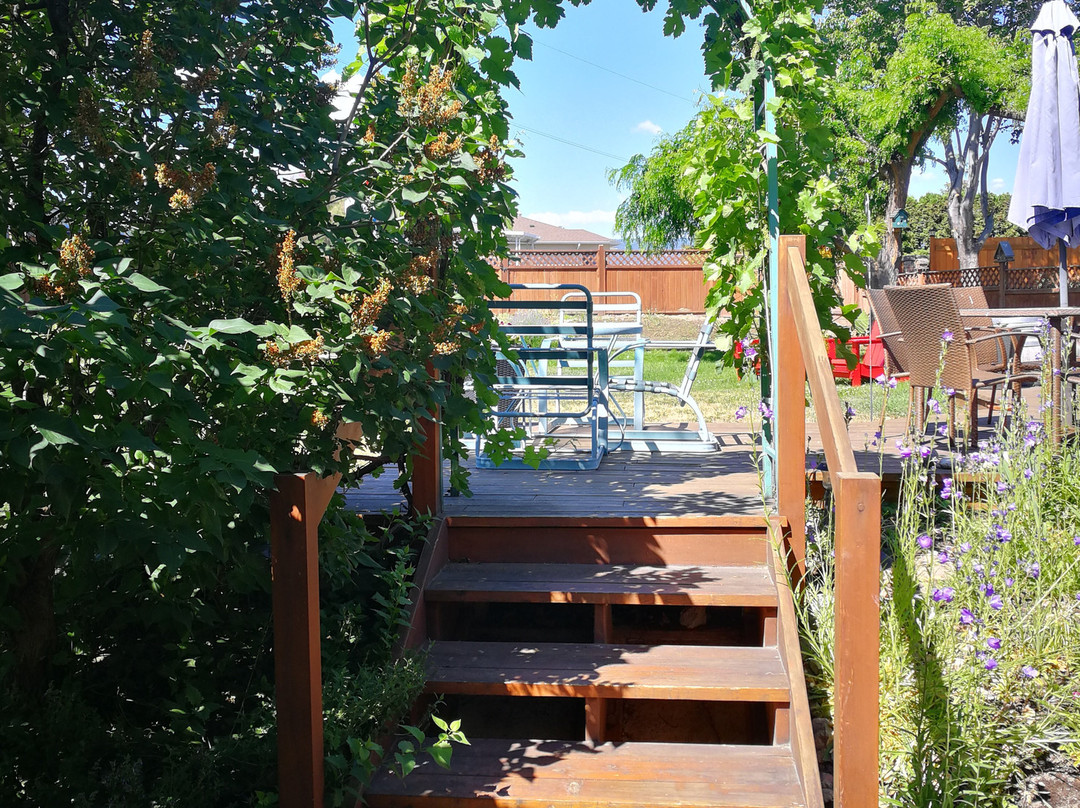 Sundial Bed & Breakfast主图