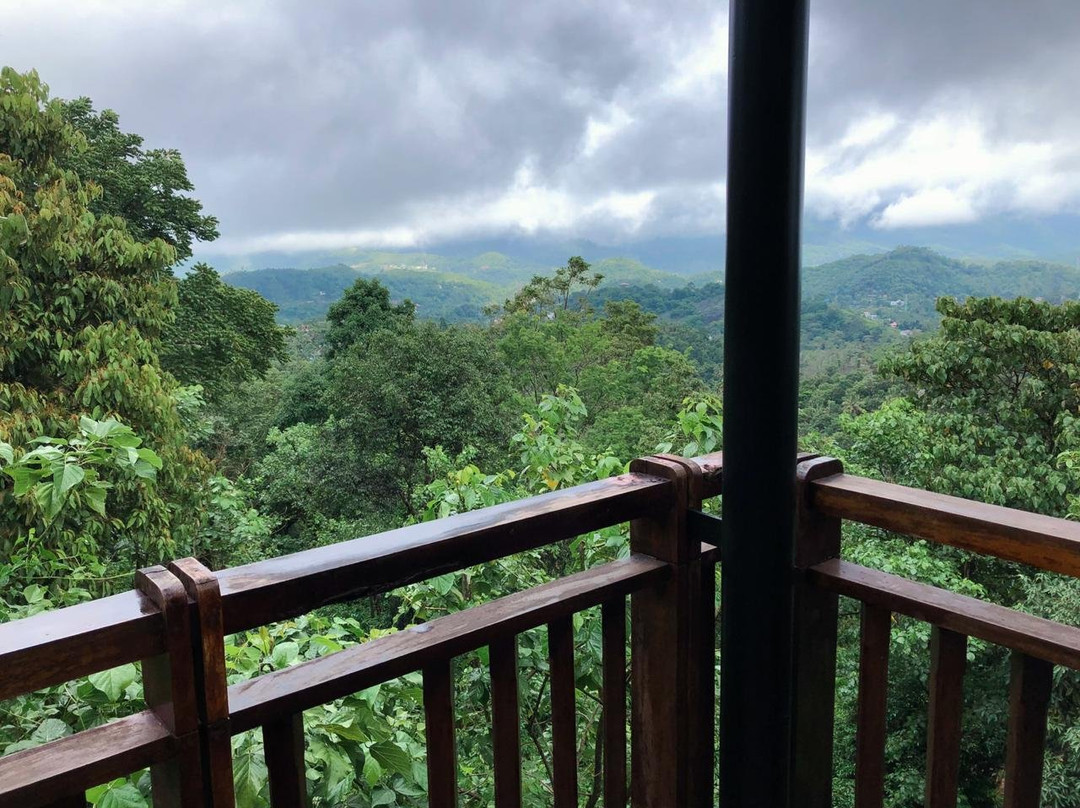 Vythiri Mist Resort主图