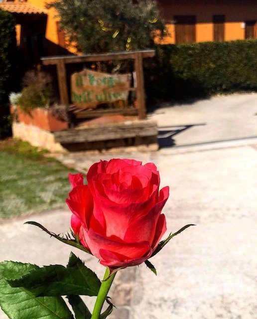 Il Borgo dell'Ulivo主图