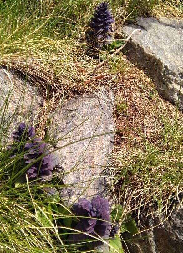 Estany Esbalcat-Ordino必去景点