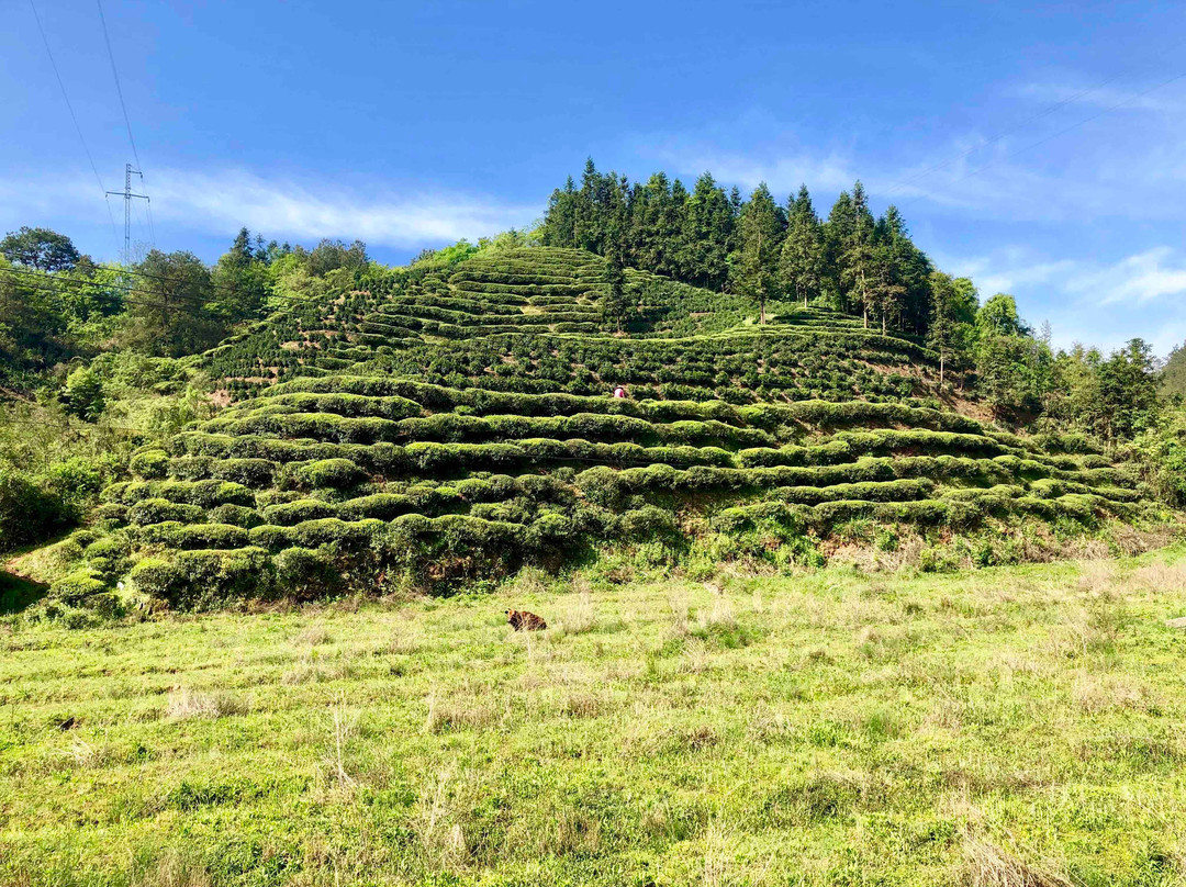 黄山屯溪山城-黄山市必去景点