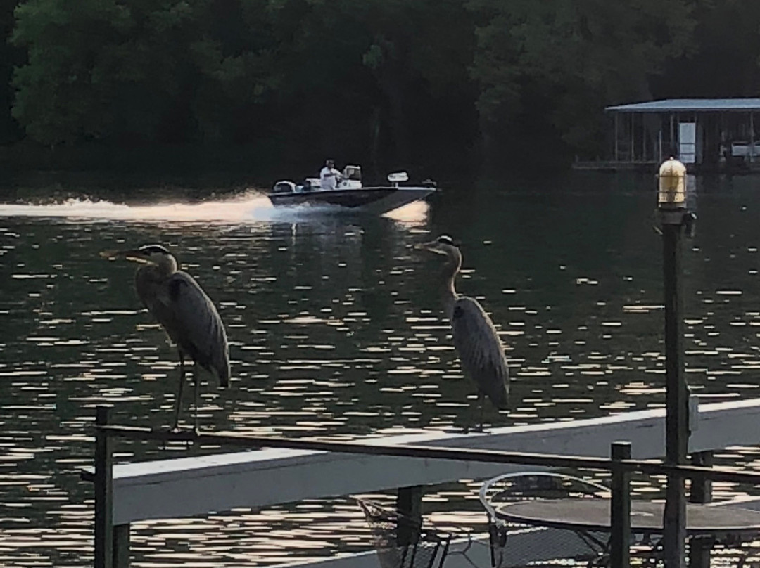 The Cottages At Lake Shore主图