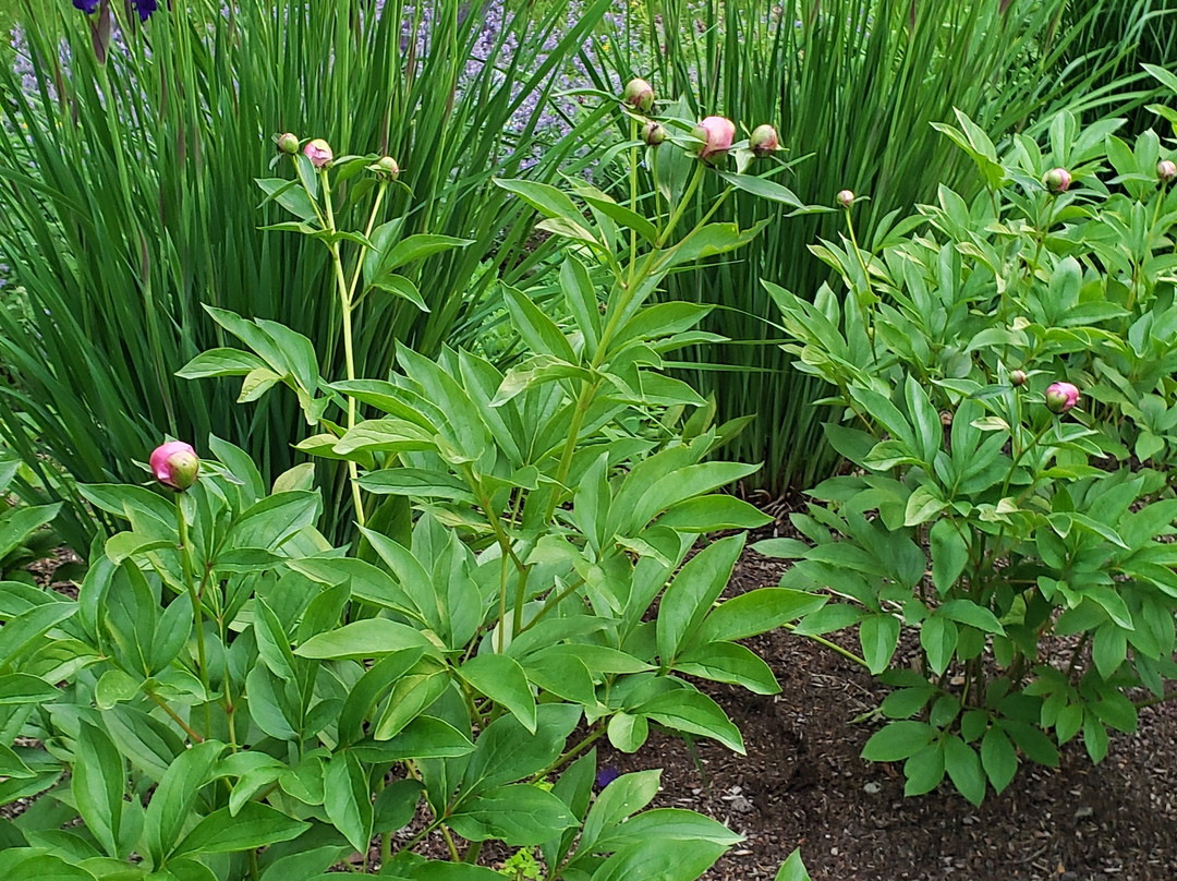 Sinclair Inn B & B主图