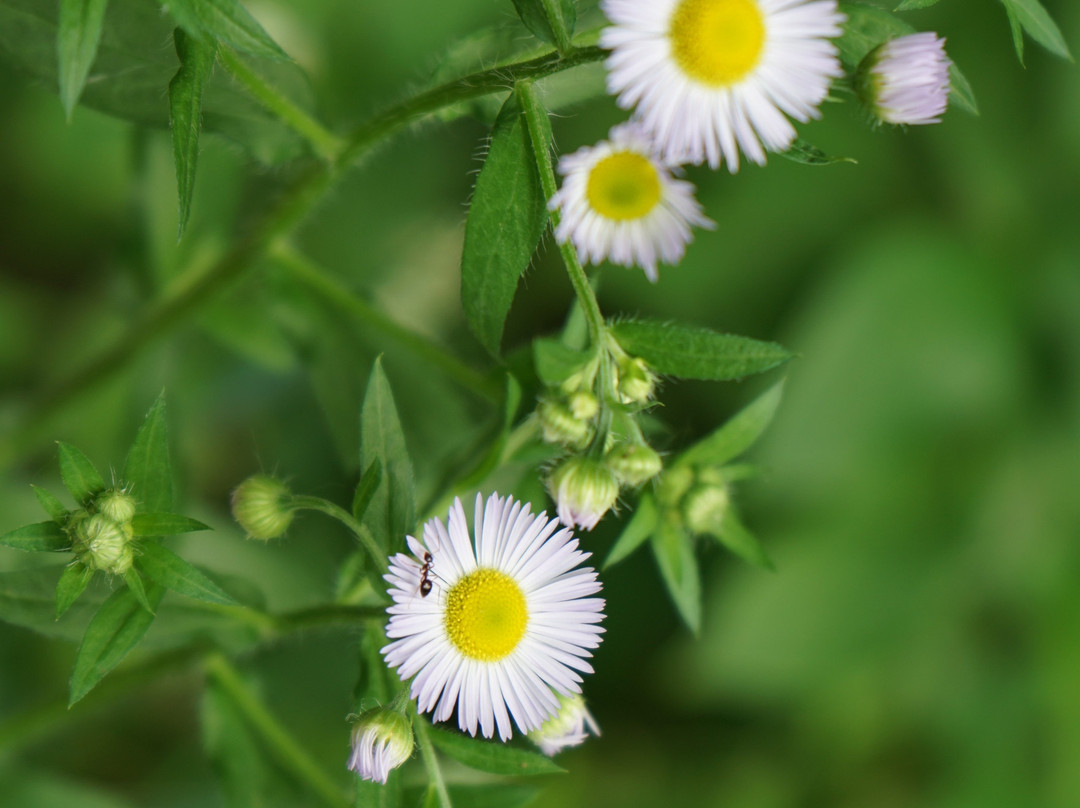 Cleary Lake Regional Park-Prior Lake必去景点