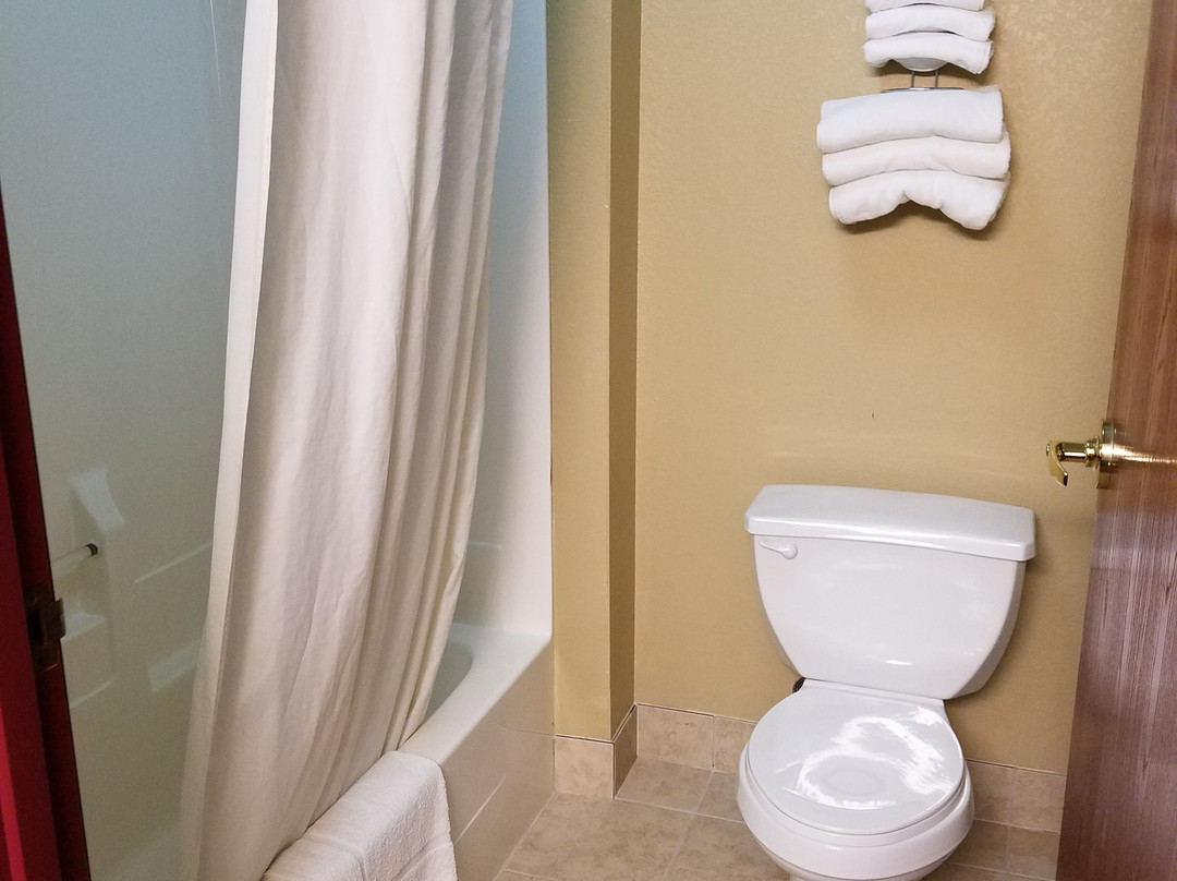 Super 8 by Wyndham Waterloo主图