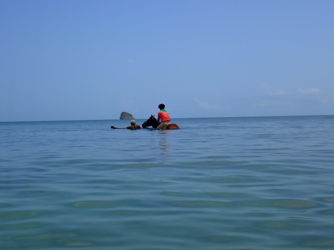 Ranch des 2 Îlets-Deshaies必去景点