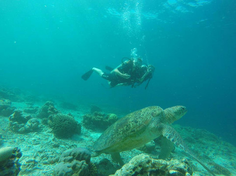 最佳双层床小屋主图