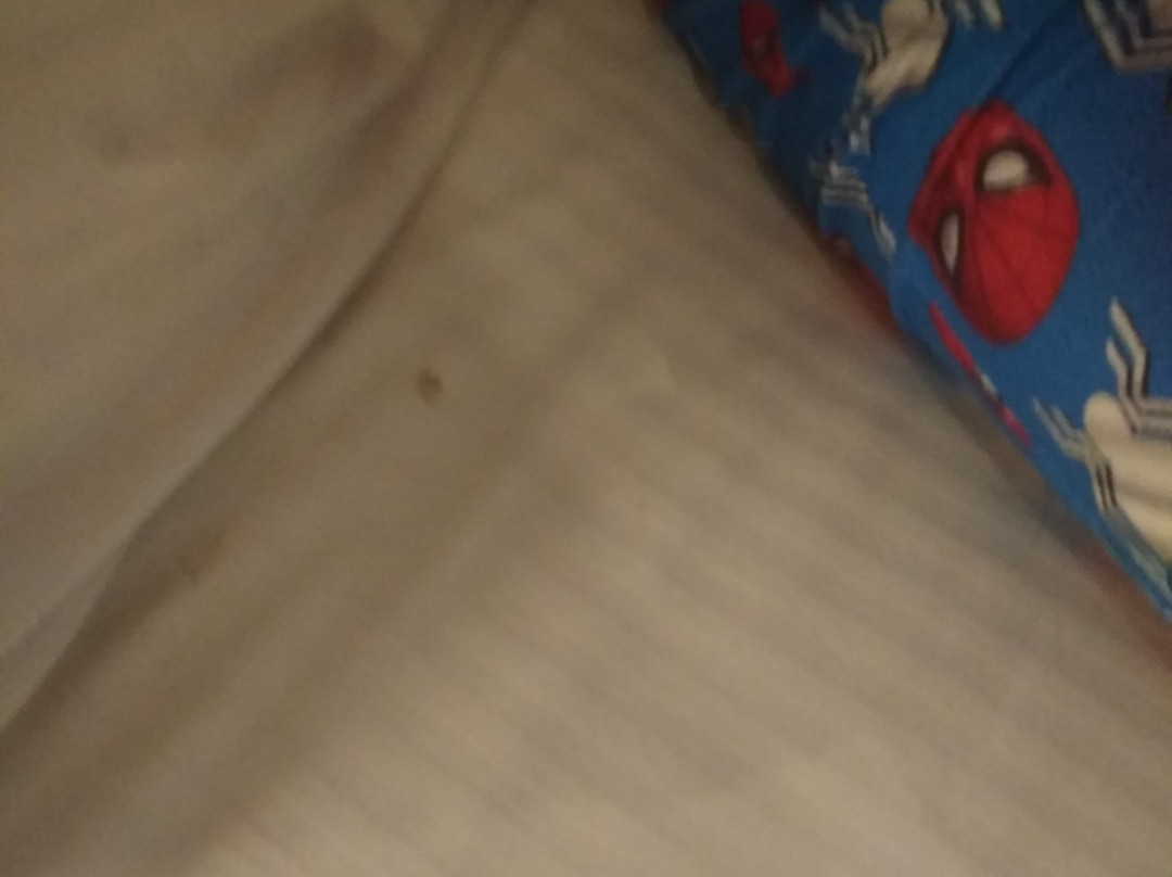 Renest Tirupati主图