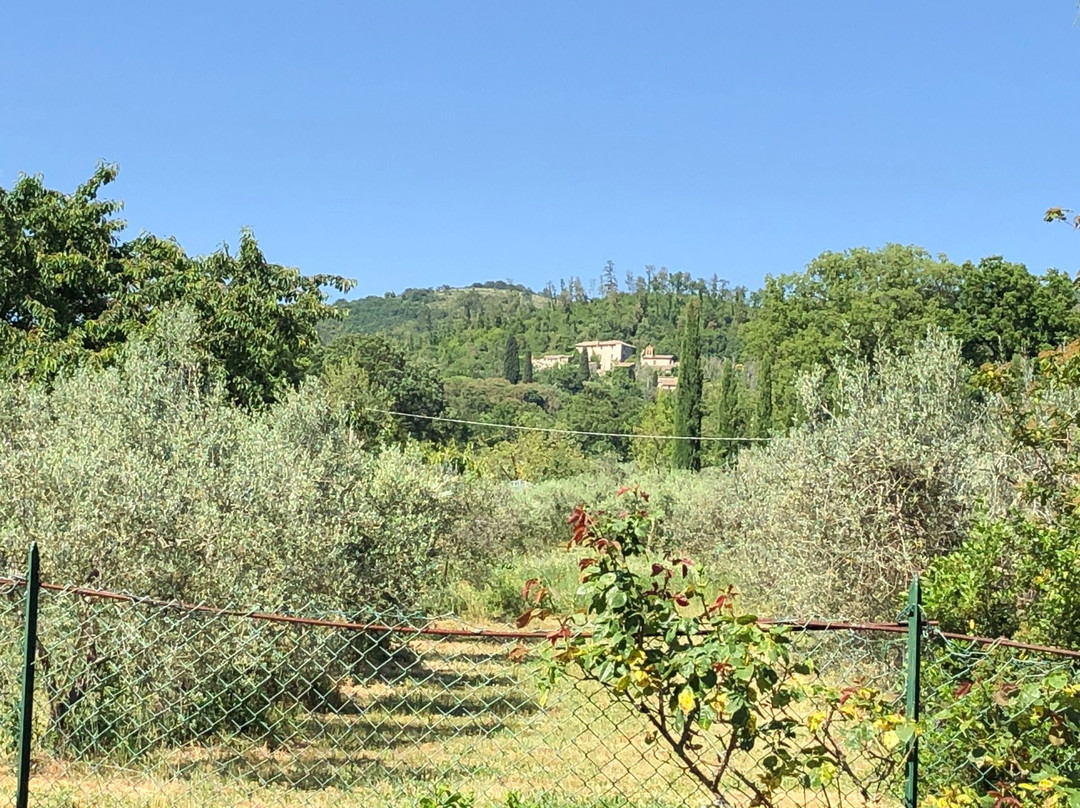 B&b Il Pizzagiallo主图