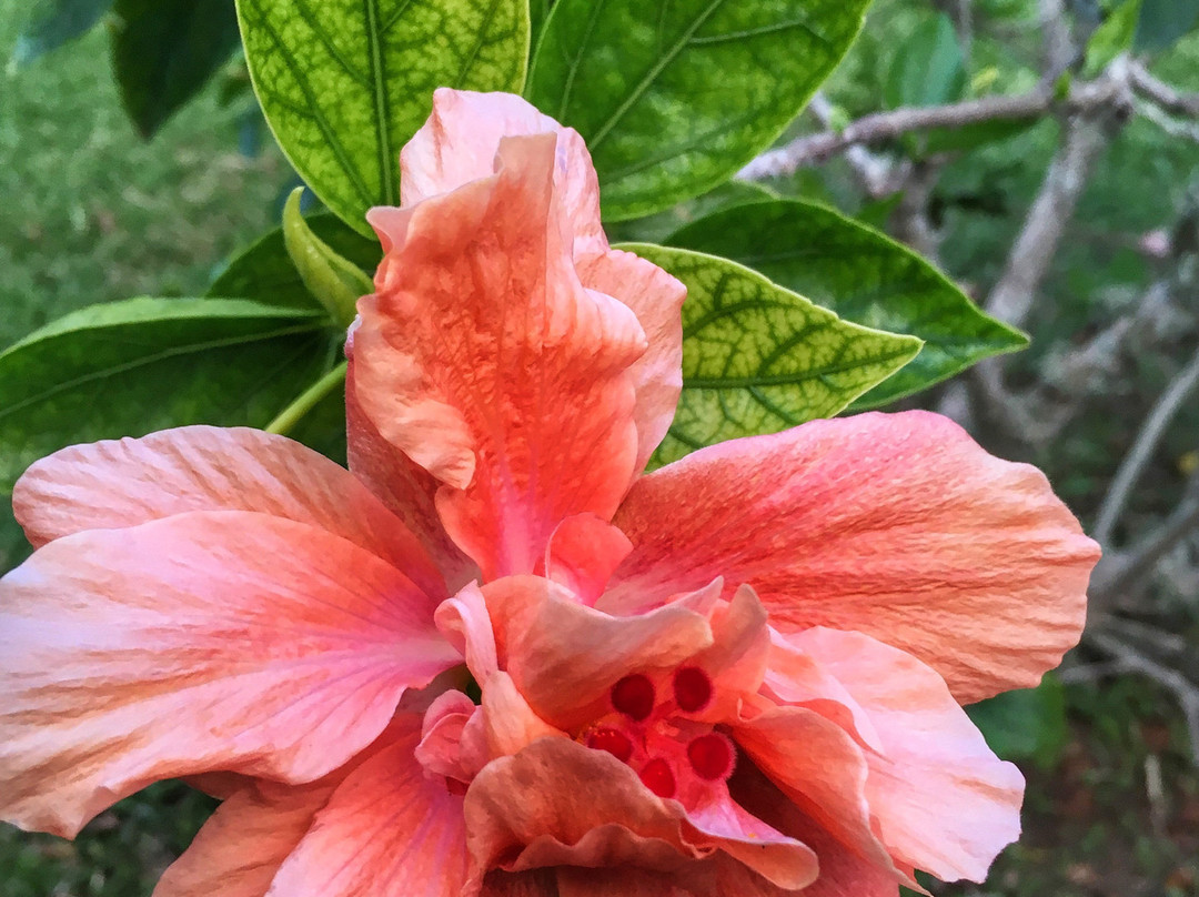 Greenbank Guest House And Cottages主图