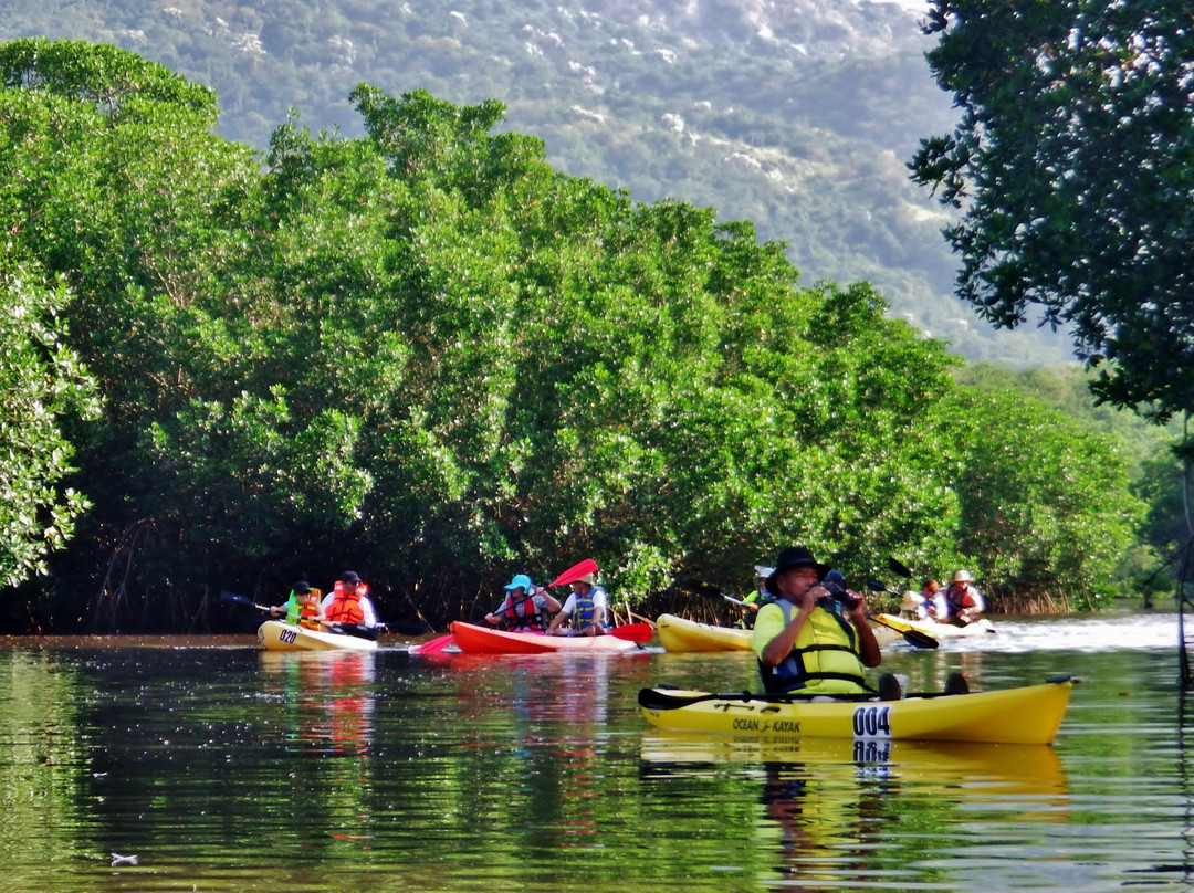 Kayak Manzanillo-曼萨尼约必去景点