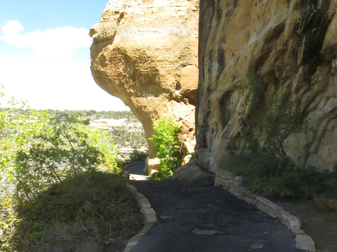 Step House-梅萨维德国家公园必去景点