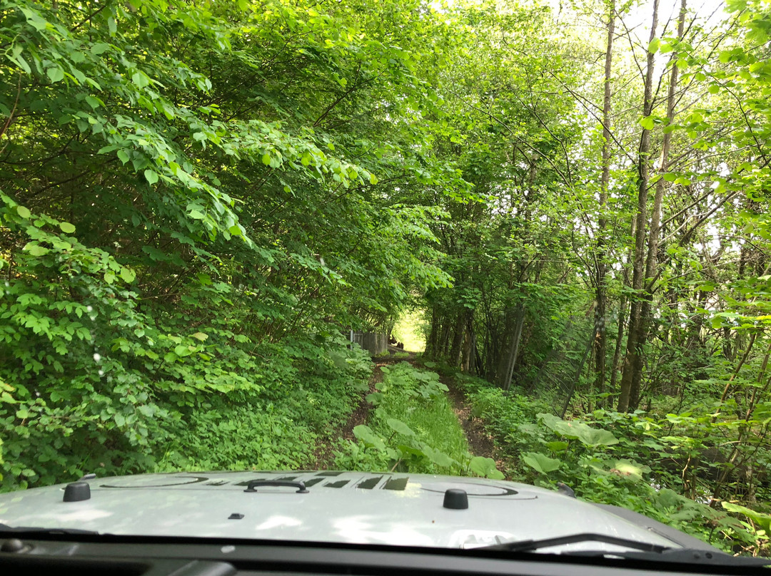 4x4 Event - Jeep Malmo景点图片