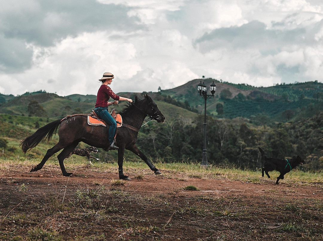 Steel Horse Colombia-Filandia必去景点