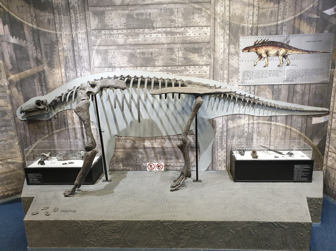Pannontenger Museum景点图片