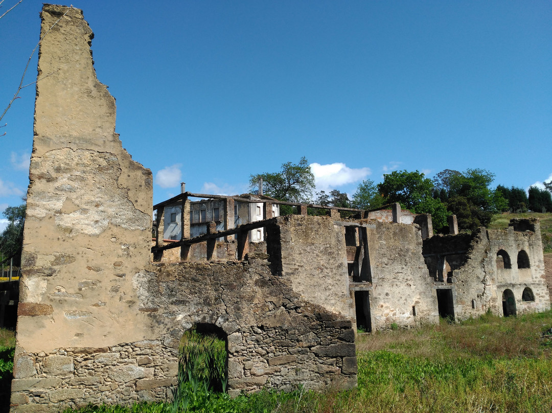 Sao Joao de Ver旅游景点-Parque Municipal da Quinta do Engenho Novo