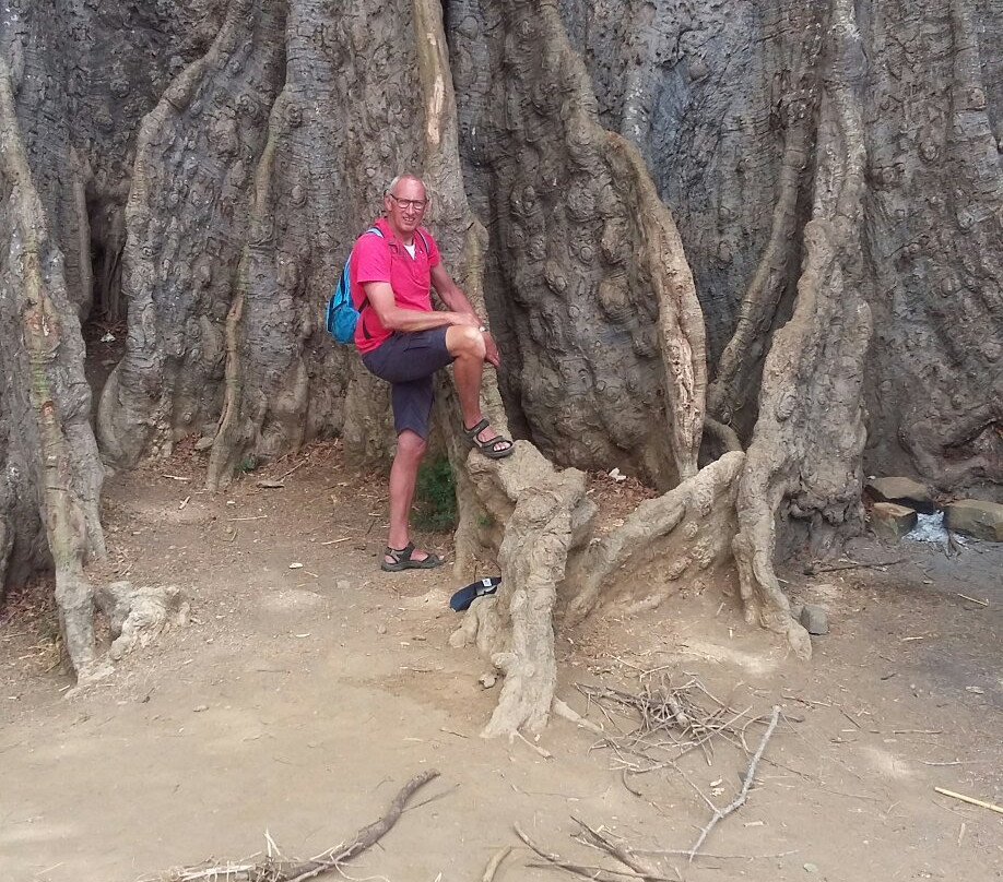 Praia City Hall-培亚必去景点