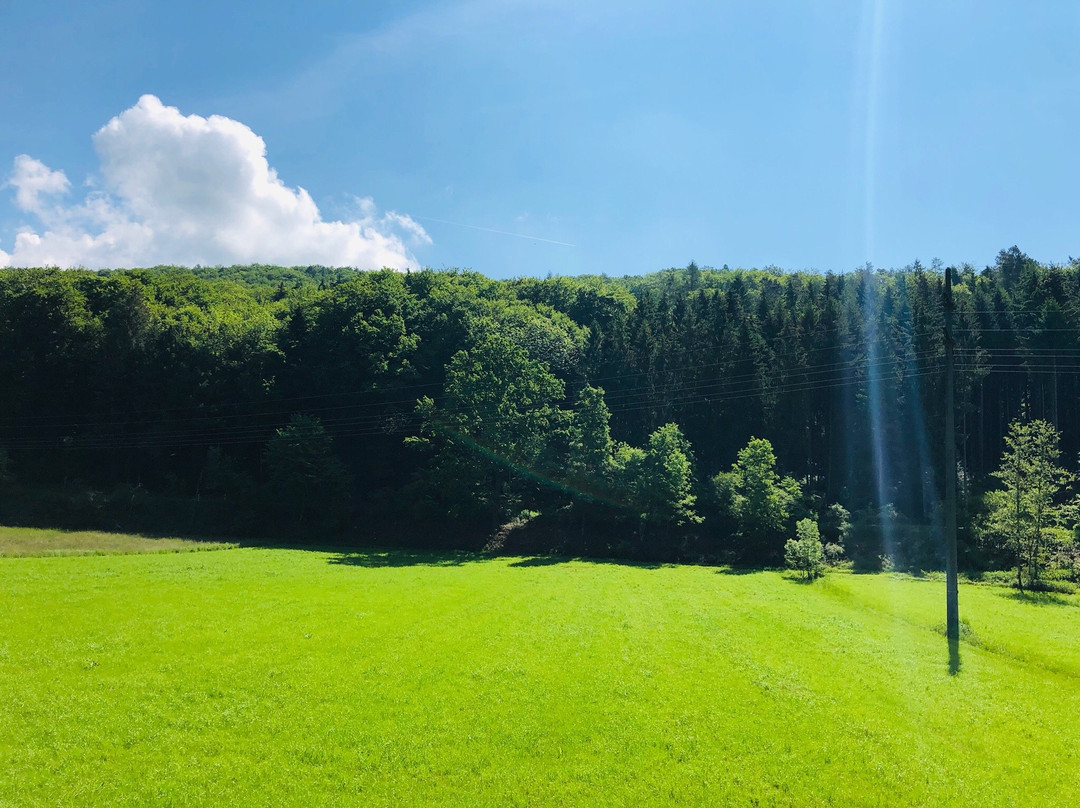 Kandertalbahn景点图片