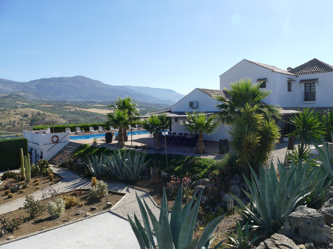 B&b Hacienda Riogordo主图