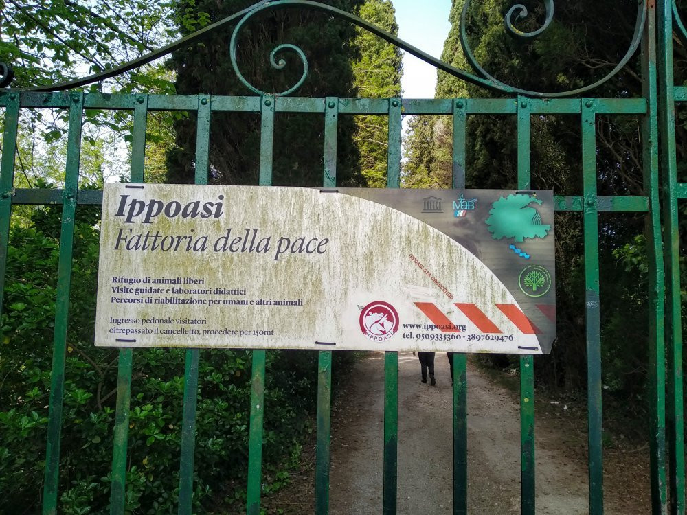 Fattoria della Pace IPPOASI Onlus-San Piero a Grado必去景点