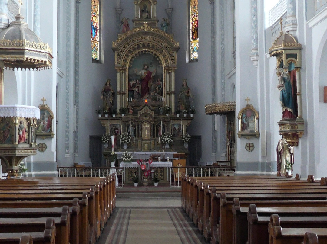 Biserica Notre Dame Din Timisoara景点图片