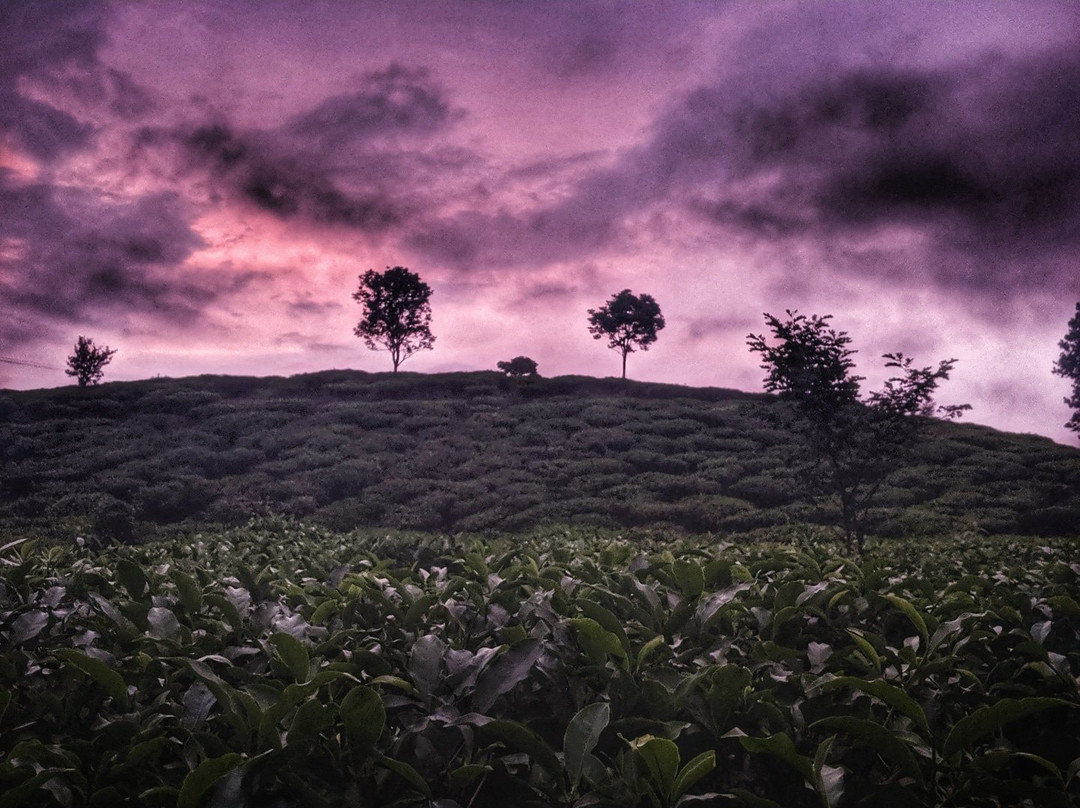 Tea Route Holiday Homes主图