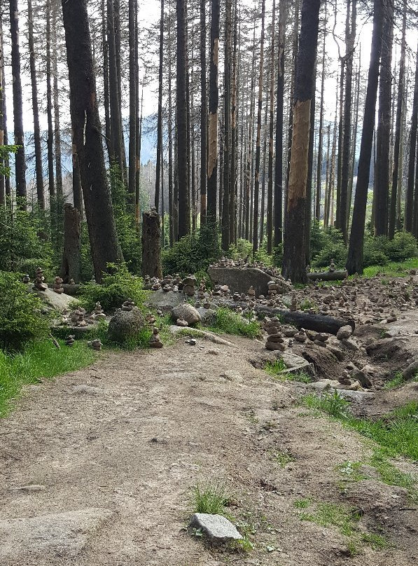 Brockenblick Ferienpark主图