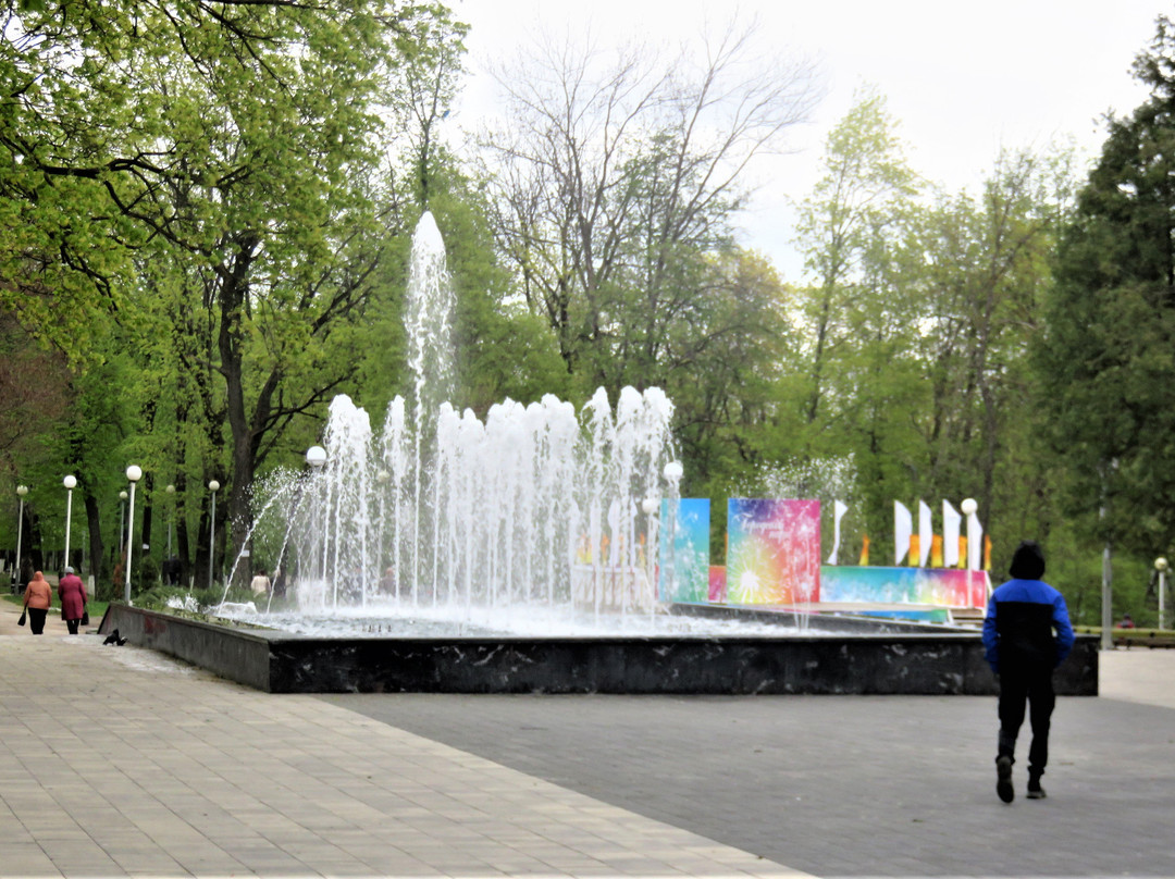 City Park of Culture and Leisure景点图片