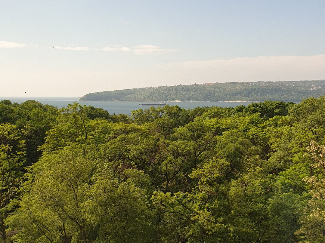 格兰迪米亚特酒店主图