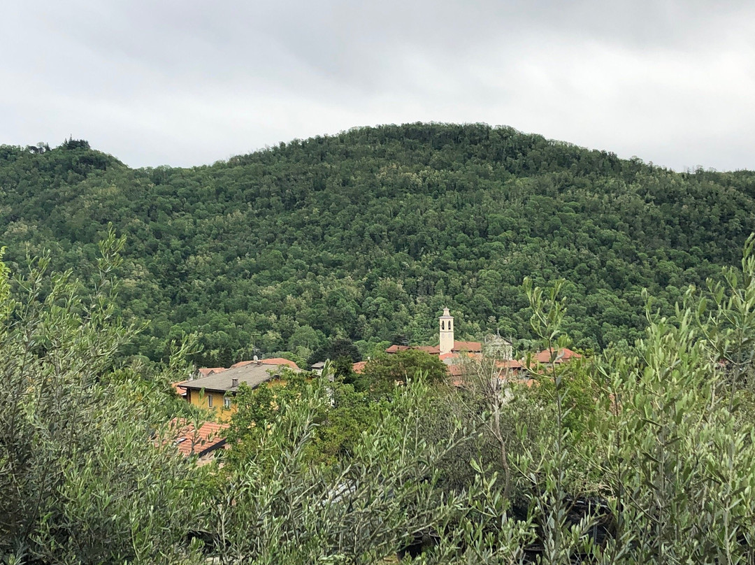 Mombello旅游攻略图片