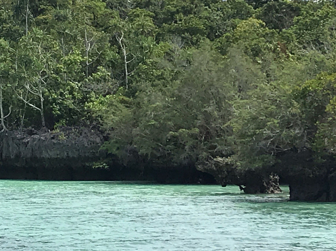 Bair Island景点图片