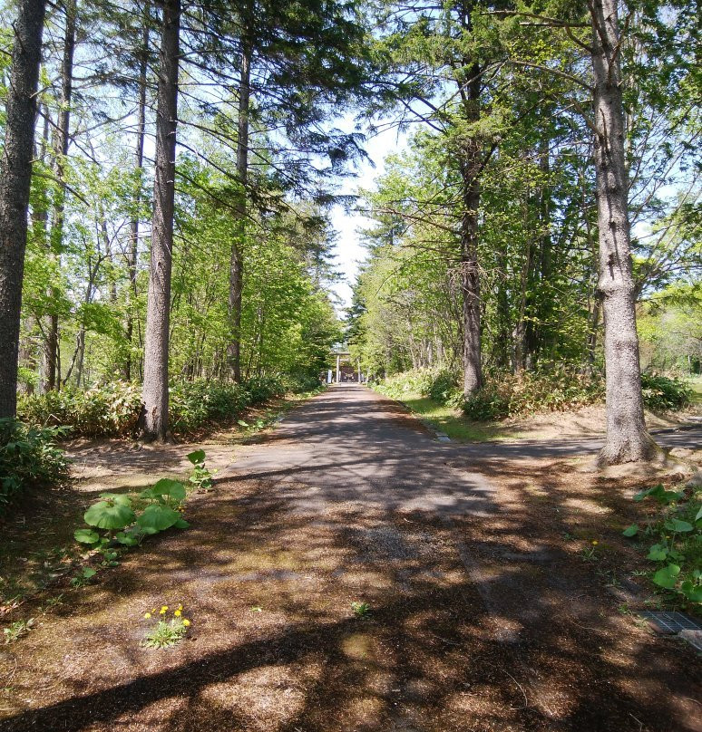 Okoppe Park-兴部町必去景点
