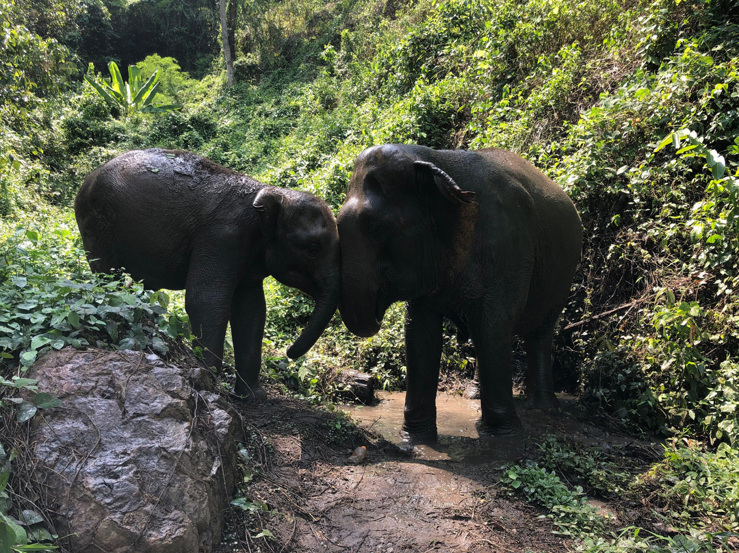 Chiangmai Mountain Sanctuary-清迈必去景点