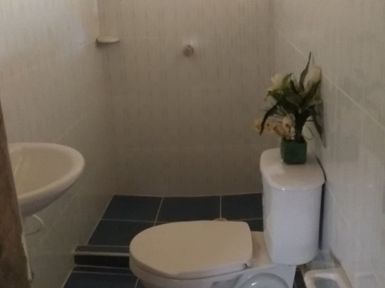 Posada Turistica Quenari Wii主图