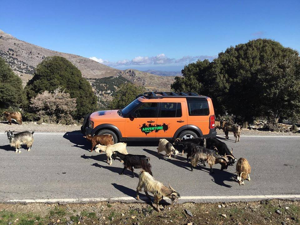 Stefanos Tours-Ierapetra必去景点