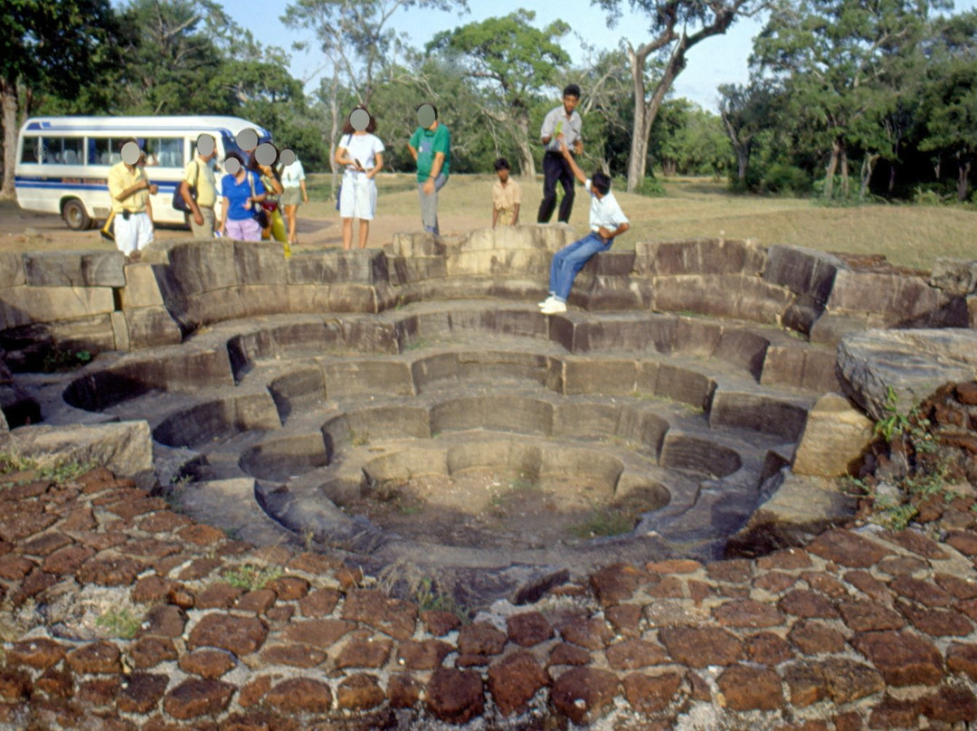 Lotus Pond景点图片