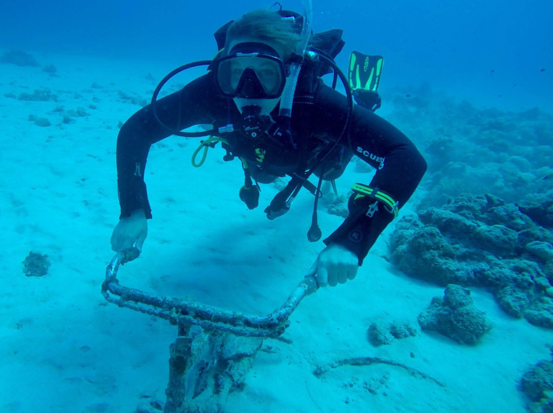 2024年9月Octopus Diving Centre景点攻略Octopus Diving Centre门票预订地址图片