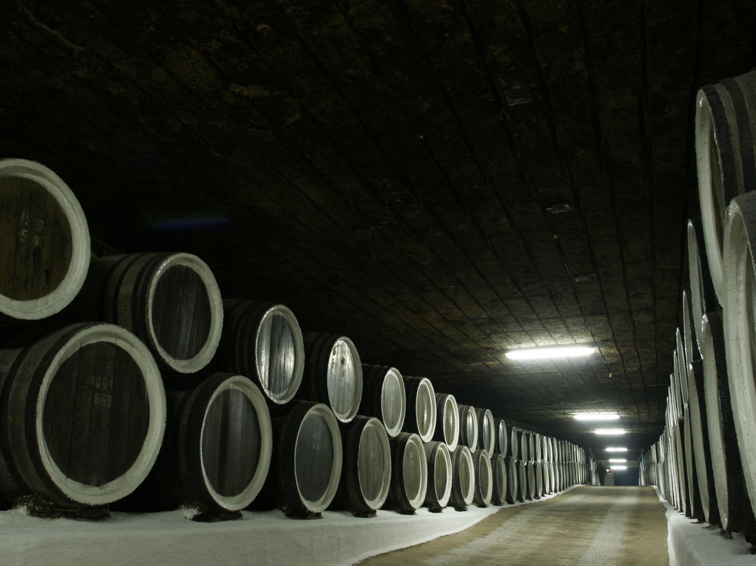 Tours of Moldova-基希讷乌必去景点