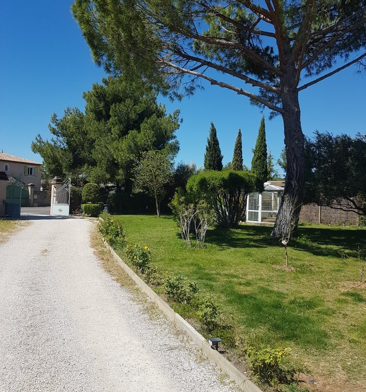 Les Bougainvillees主图