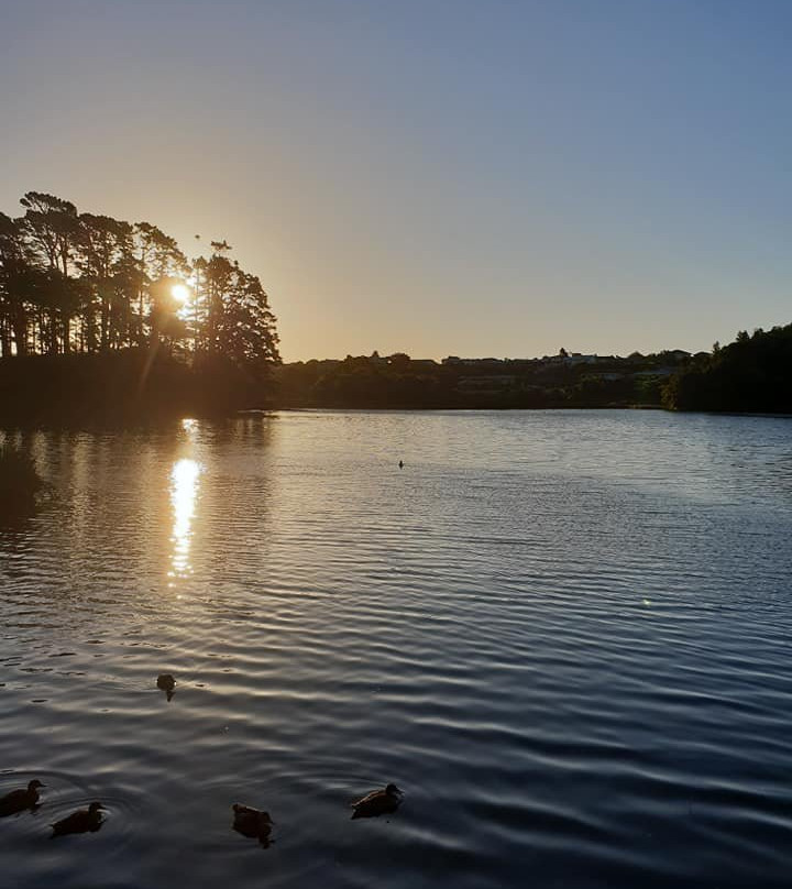Barrett Domain Walkway-新普利默斯必去景点