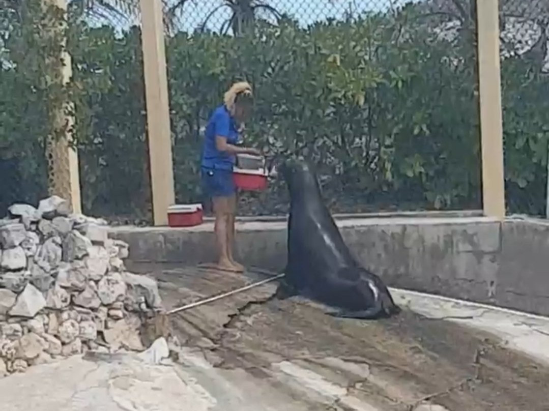 My Bahamas VIP Concierge-拿骚必去景点