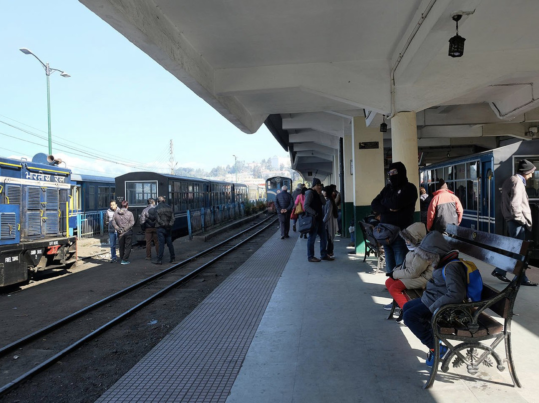 Darjeeling Toy Train景点图片